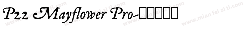 P22 Mayflower Pro字体转换
